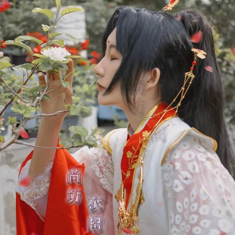 Crown Heavenly Officials Bless – Anime Cosplay Costumes Bewertung und Preis